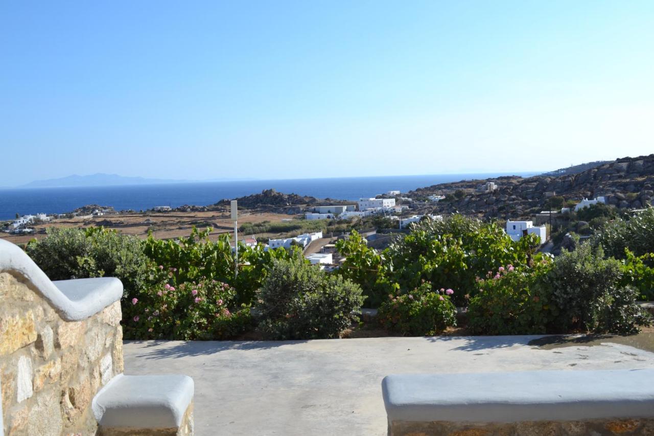 Oniropetra Mykonos Plintri